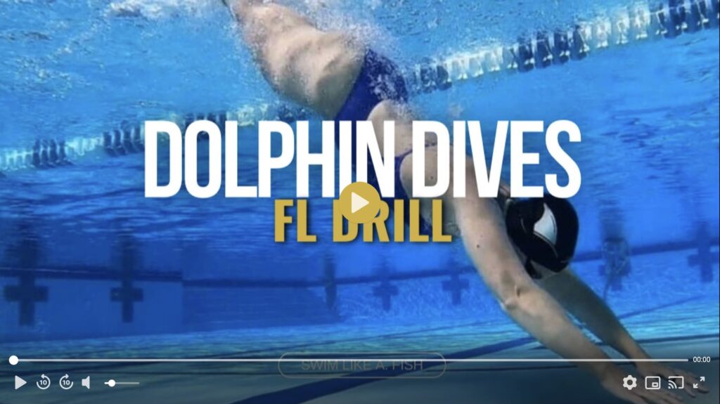 Dolphin Dives Butterfly bodyline drill undervater video example