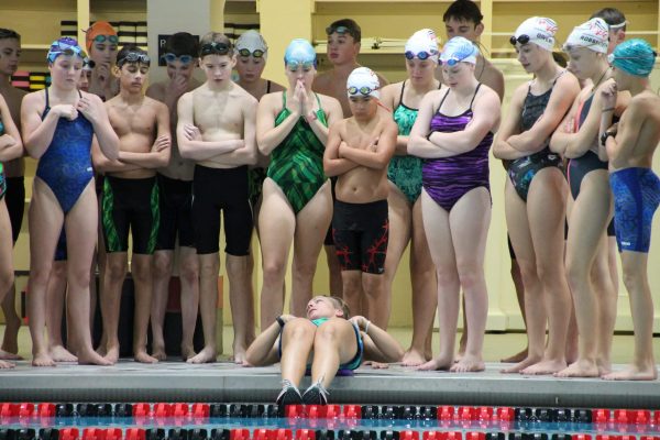 TECHNIQUE SEASON PLANS Swim Like a fish